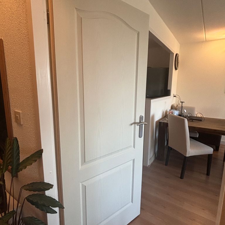Binnendeuren vervangen in Almere, foto 2